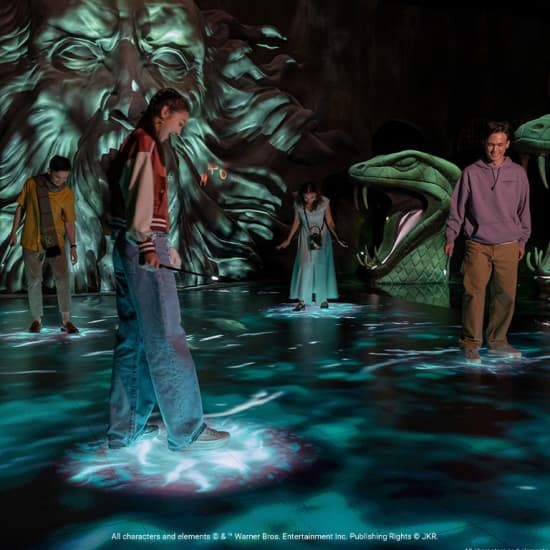 Harry Potter: Visions of Magic