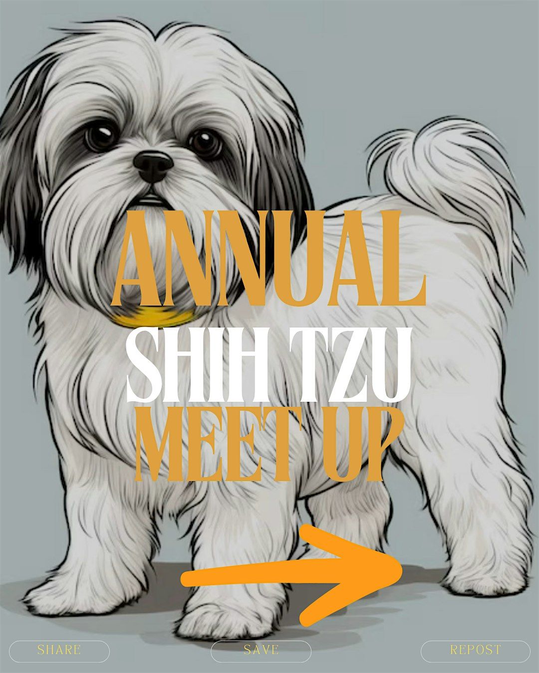 Annual Shih Tzu Meet Up