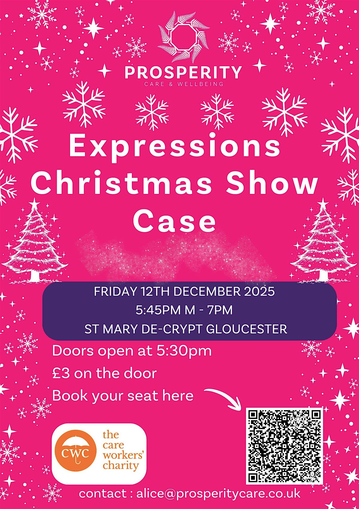 Expressions Christmas Show Case