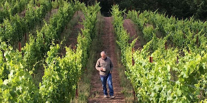 Wine Flight Night: Moshin Vineyards w\/ Rick Moshin