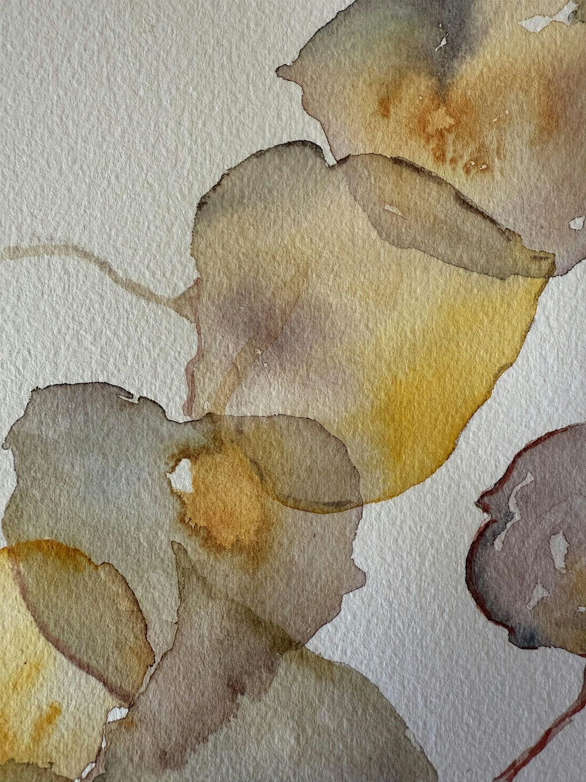 Paint with Us: Watercolor Focus on Fall