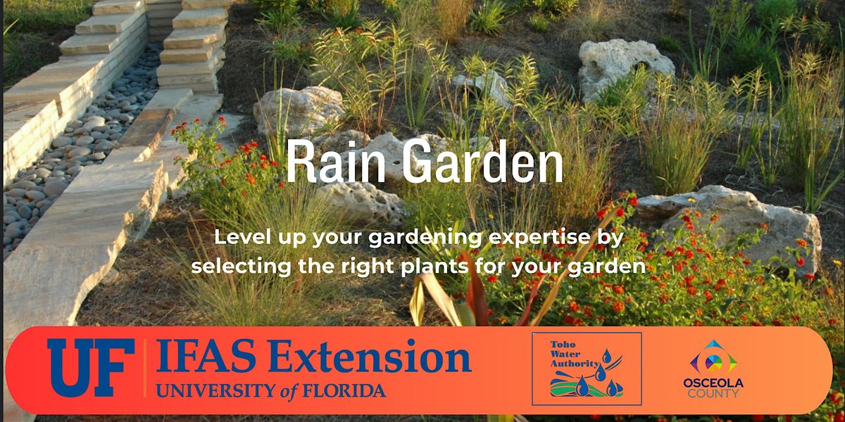 Rain Garden