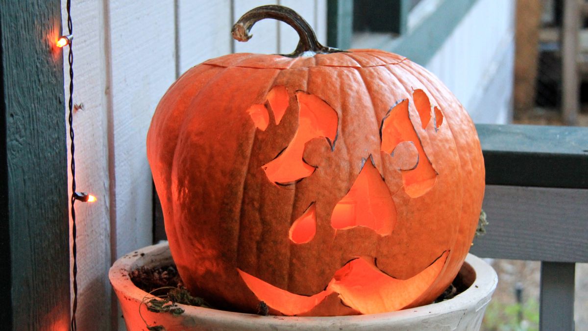 Bosque Singles Halloween Dance