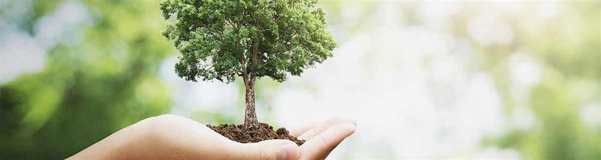 9-6-2025 Bonsai