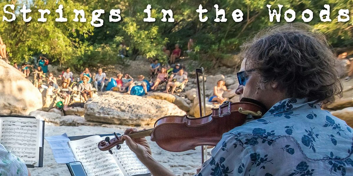 Saturday Strings in the Woods w Award Winning Austin Violinist Will Taylor