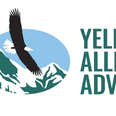 Yellowstone Alliance Adventures