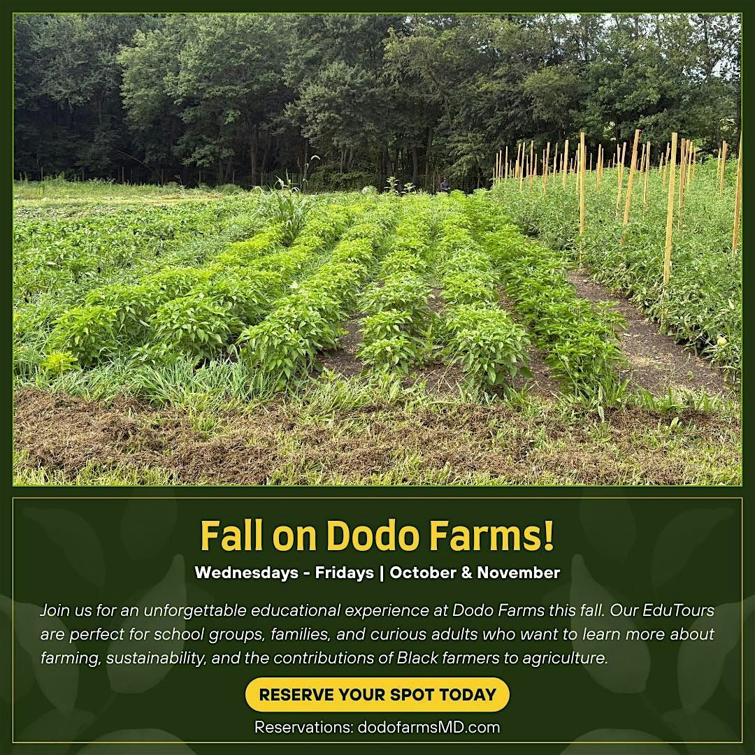 Fall on Dodo Farms: Hands-On EduTours