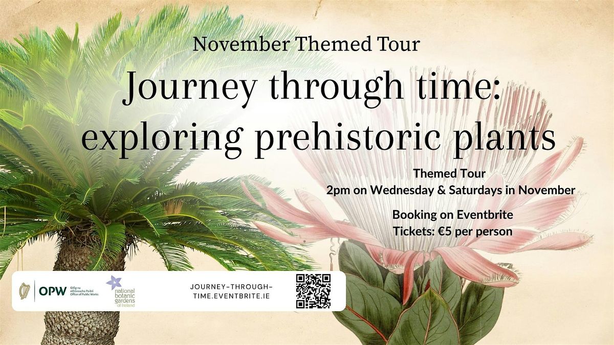 November Themed Tour: Journey through time: exploring prehistoric plants