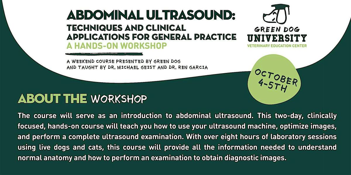 Abdominal Ultrasound: Techniques and Clinical Applications