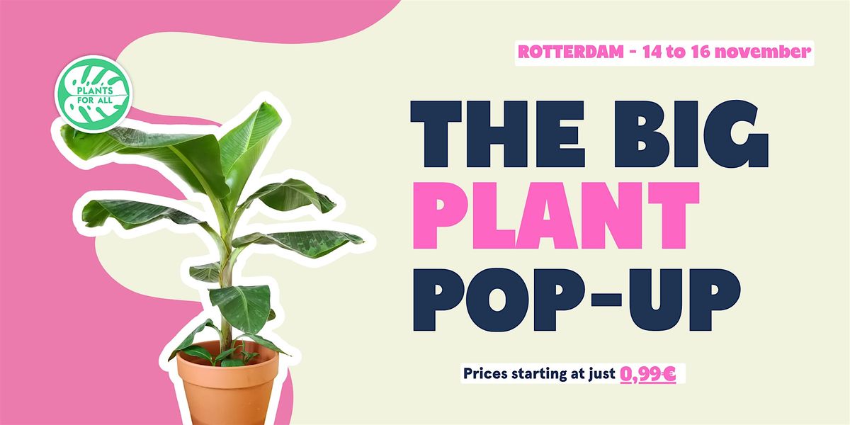 The Big Plant Pop-up - Rotterdam