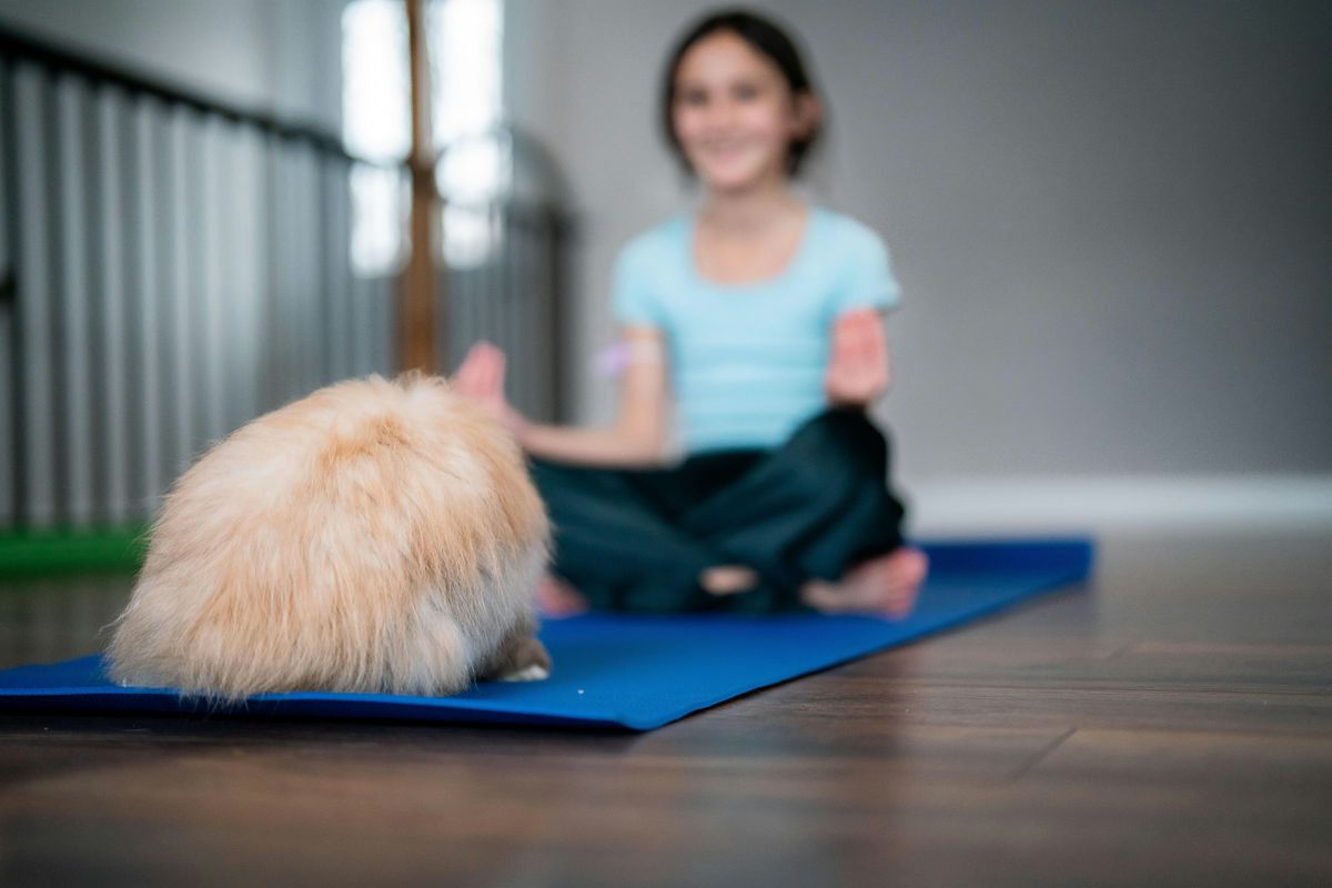 Family Yoga with Bunnies