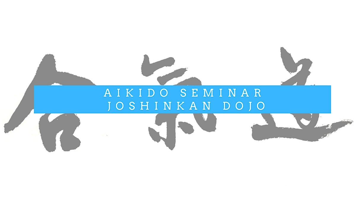Aikido Seminar hosted by Joshinkan Dojo