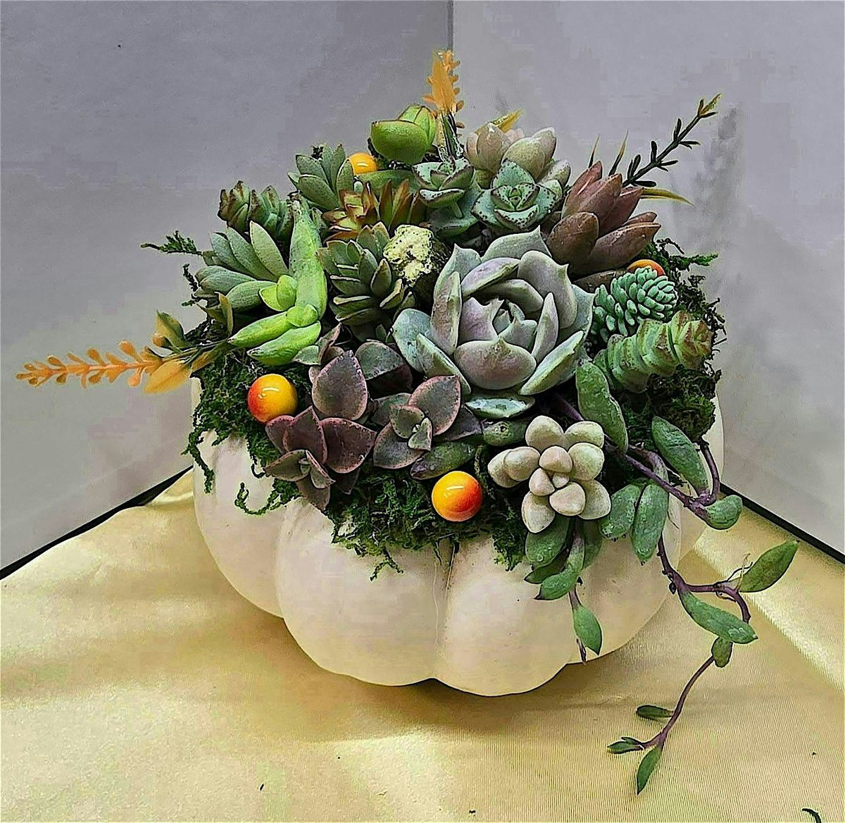 Succulent Pumpkin Making Class