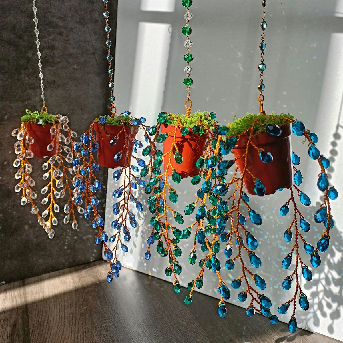 Succulent Suncatcher Workshop