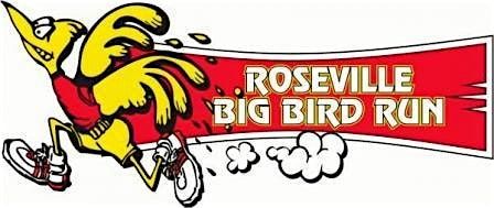 47th Annual Big Bird Run