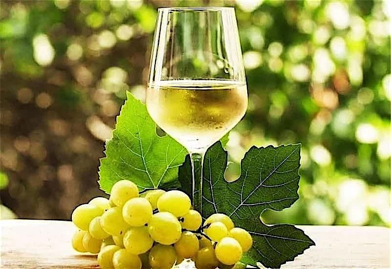Riesling Around the World