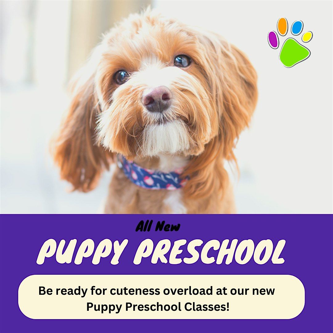 Puppy Preschool Term (8 weeks-20 weeks of age)