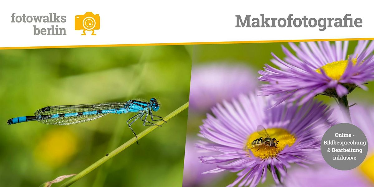 Fotokurs Berlin: Makrofotografie Outdoor am 06.06.2026 + Bildbesprechung