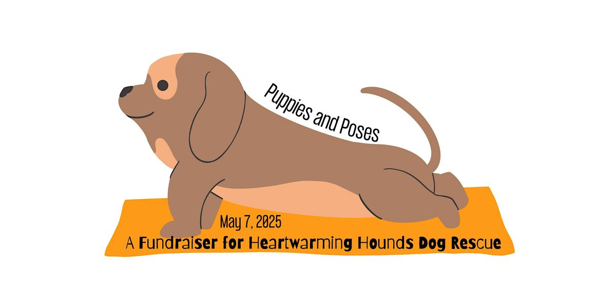 Puppies and Poses:  A Fundraiser for Heartwarming Hounds Dog Rescue