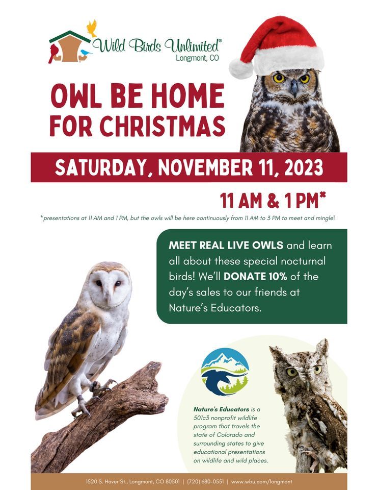 Owl Be Home For Christmas Wild Birds Unlimited (Longmont, CO