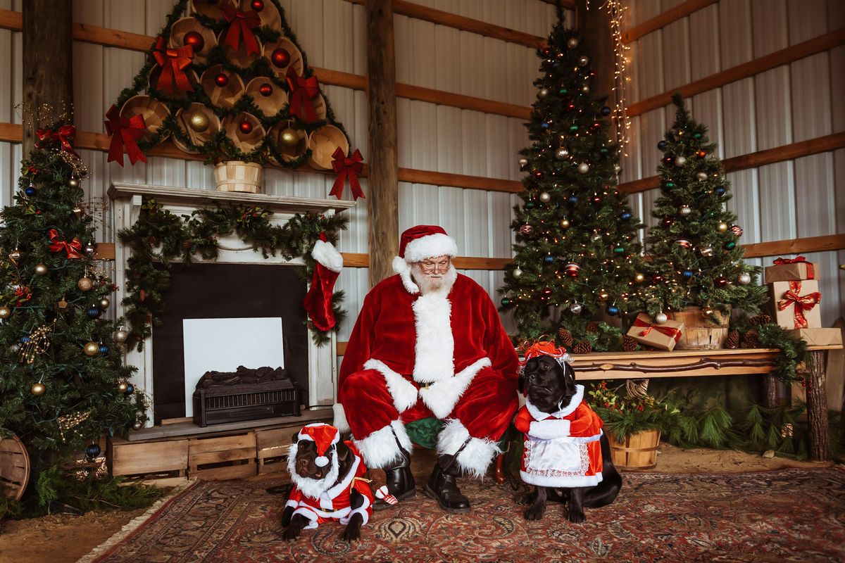 The KelRae Farm Christmas Market with Santa