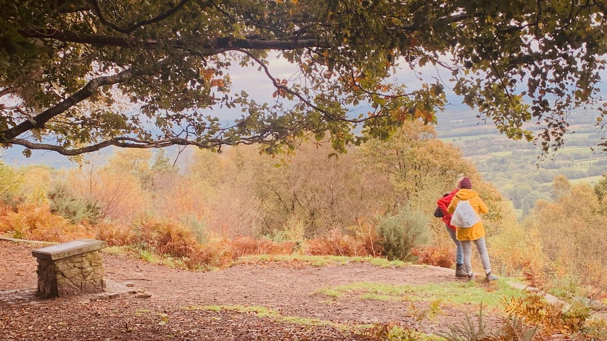 Autumn colours of the North Downs and the Temple of the winds hike