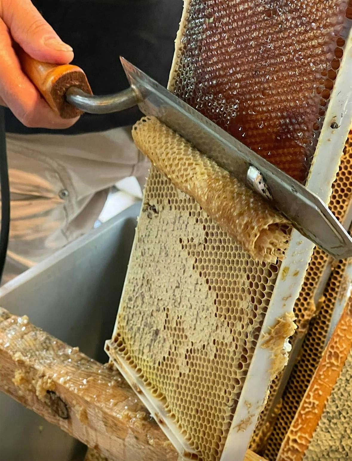 Honey Harvest Workshop