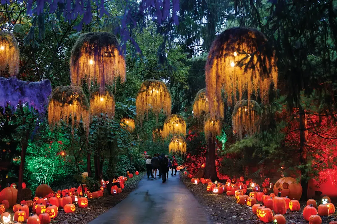 Parking Clue - A New Comedy -  Indianapolis