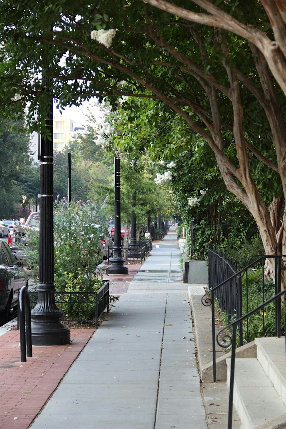 Washington DC Bar Crawl: Wildin' Out Washington DC Bar Crawl