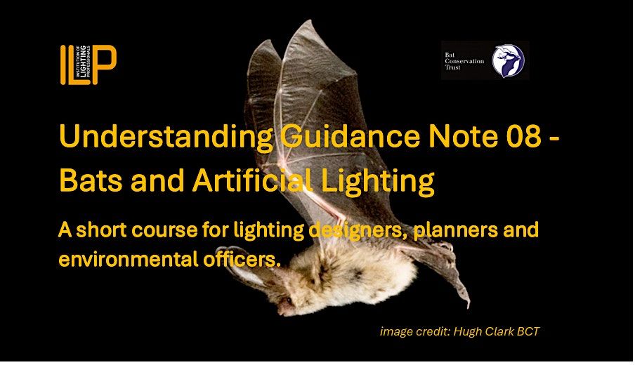 ILP Course: Bats and Artificial Lighting - Rugby