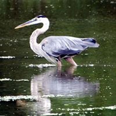 Lake Renwick Preserve - Heron Rookery Nature Preserve