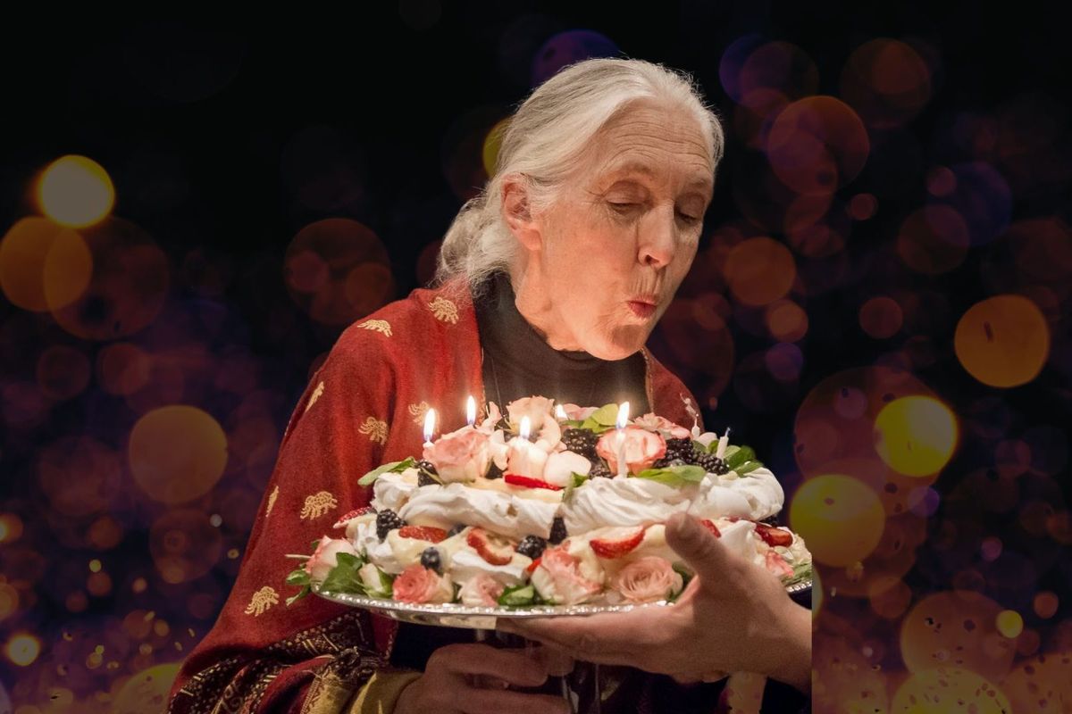 Jane Goodall at Royce Hall