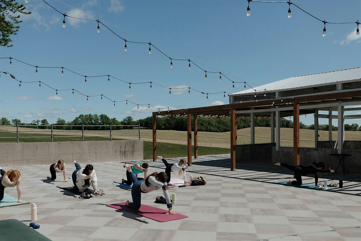Core & Countryside at Selmer + Stone