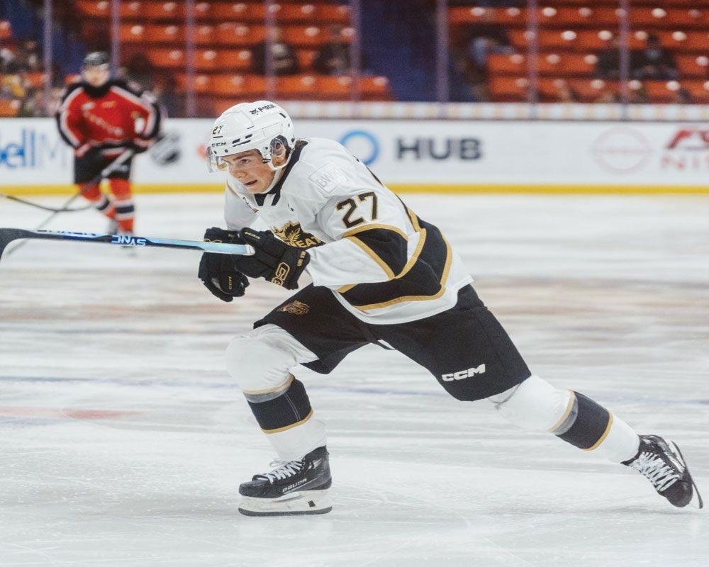 Brandon Wheat Kings vs. Medicine Hat Tigers