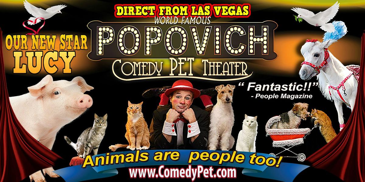 Popovich Comedy Pet Theatre in Austin, TX