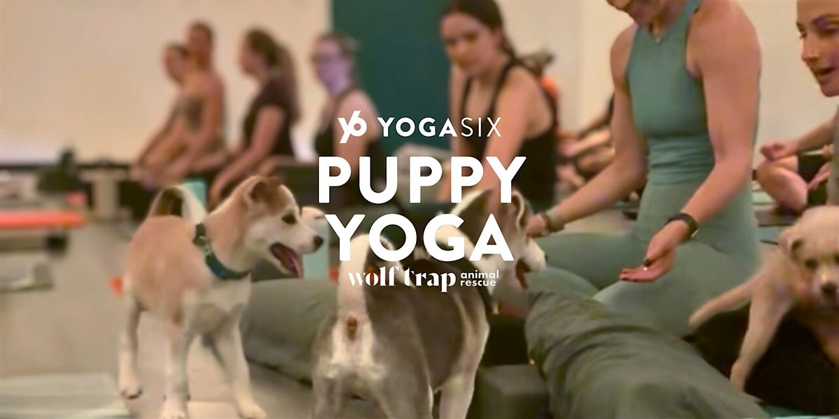 Puppy Yoga