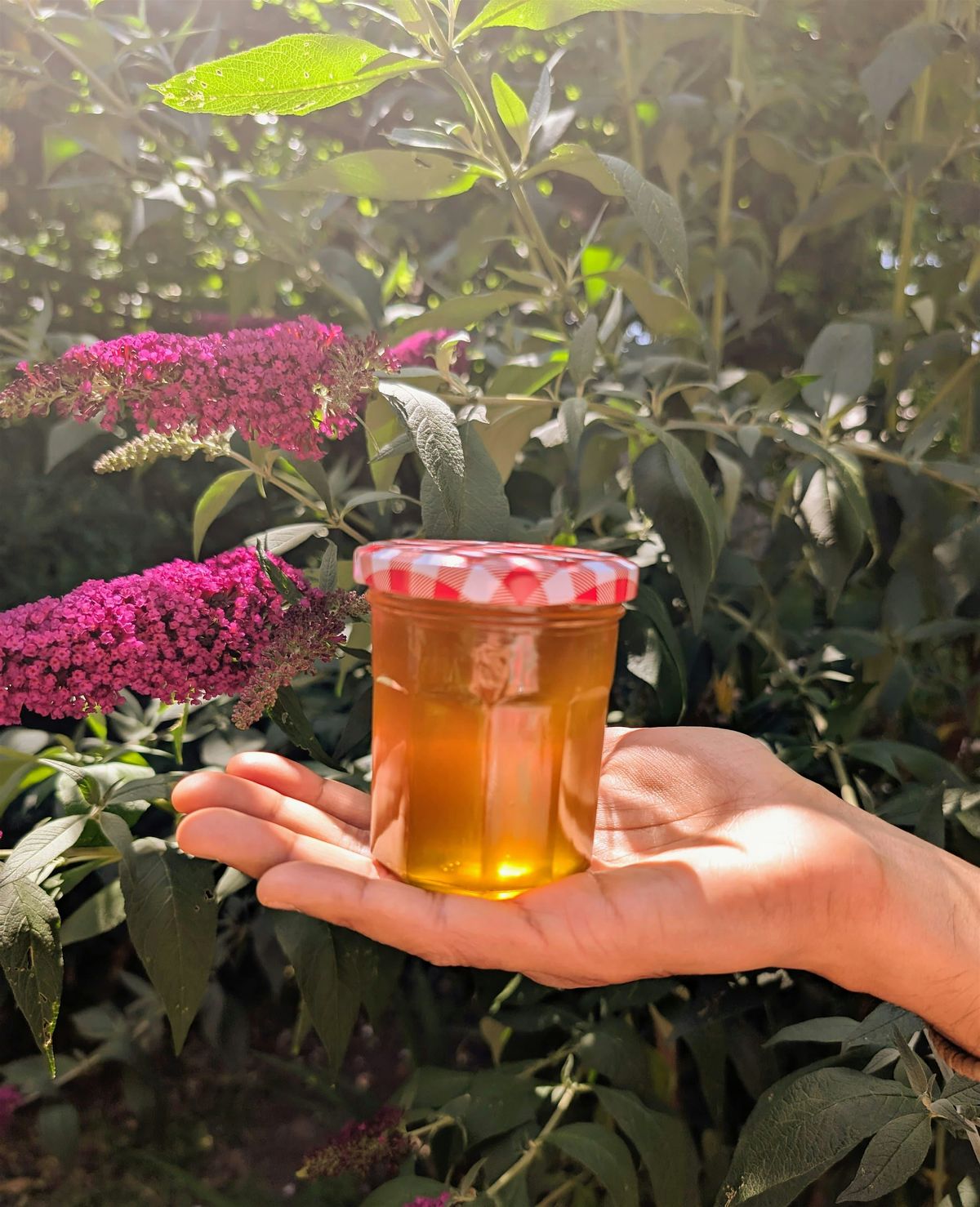 Ghee and Paneer Workshop: Kitchen Alchemy Made Easy