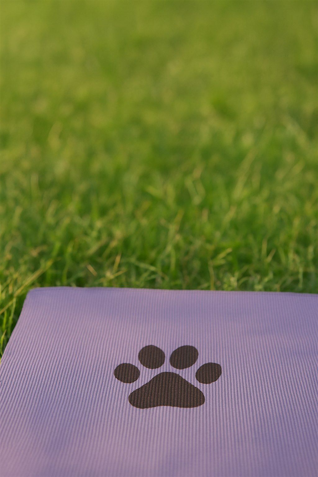 Yoga for Pet Loss