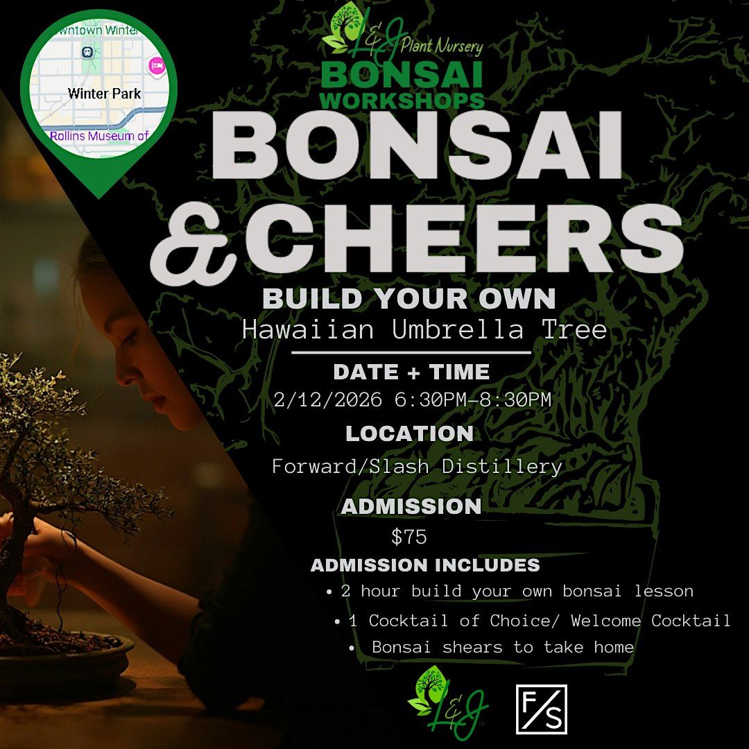 Bonsai & Cheers -Forward\/Slash - L&J Nursery - Umbrella Tree