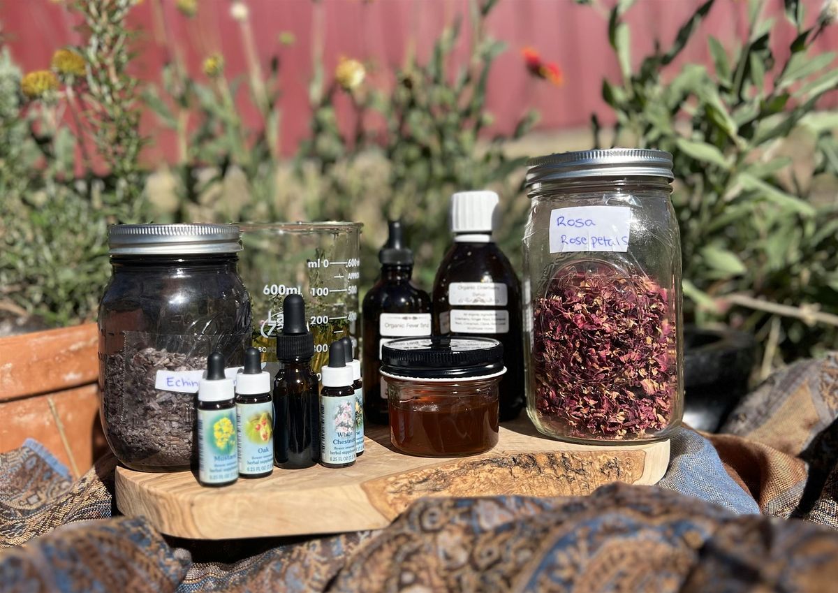 Workshop: Herbal Medicine Chest for the Holiday and Flu Season