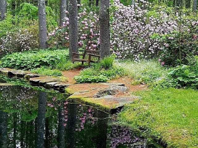 Monthly Meet Up: Foundations of Gardening.