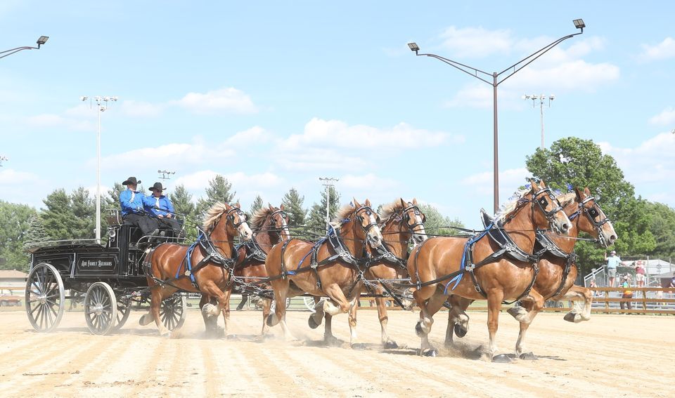 Three Trails Classic Draft Horse Show Buffalo County Fairgrounds three-trails-classic-draft-horse-show-buffalo-county-fairgrounds