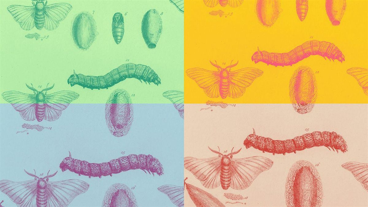 Creative making: Inspired by nature