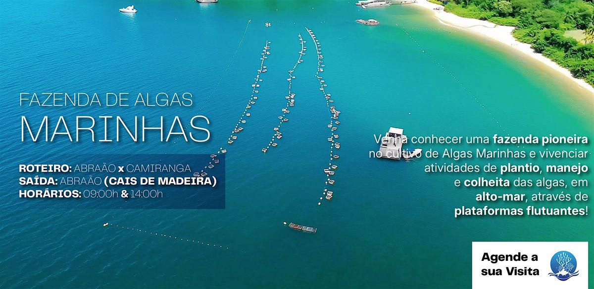 Camiranga Seaweed Farm Field visit