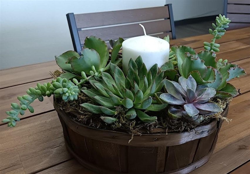 Succulent Centerpiece Workshop