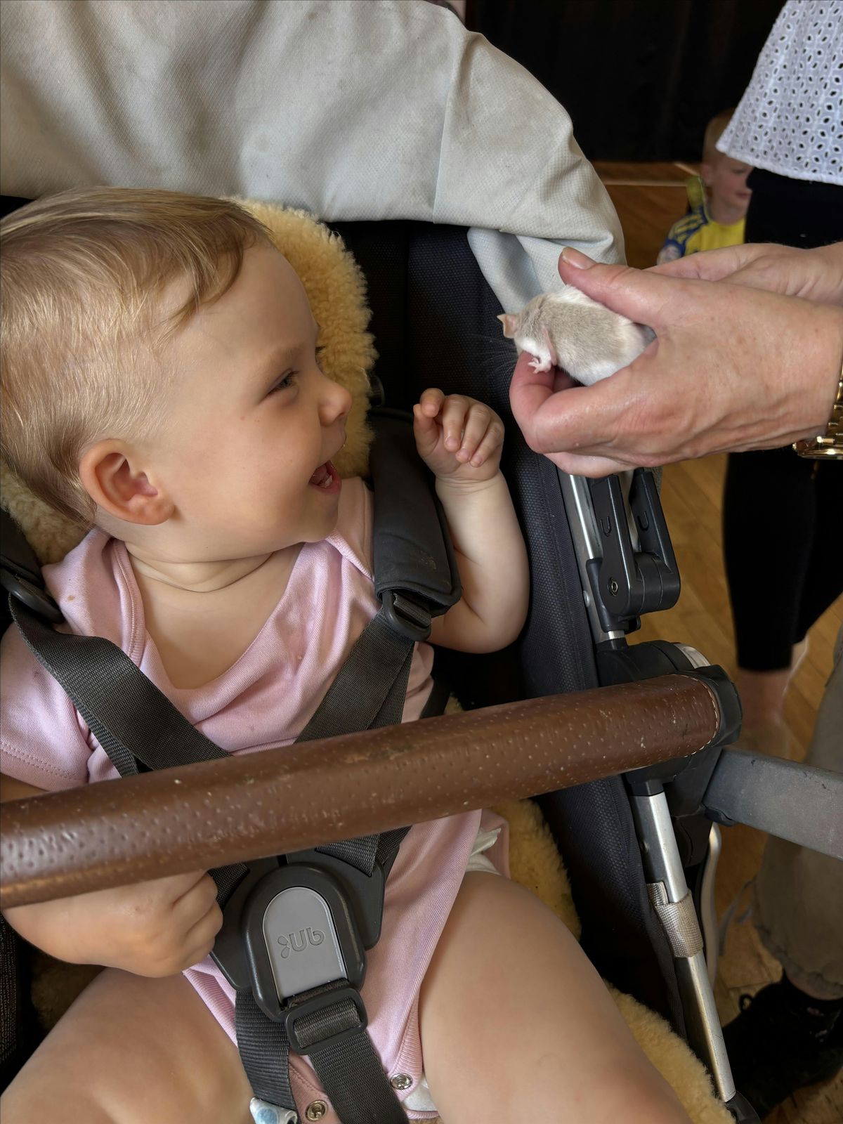 One World Animals - Wokingham 10.15am TODDLER EVENT