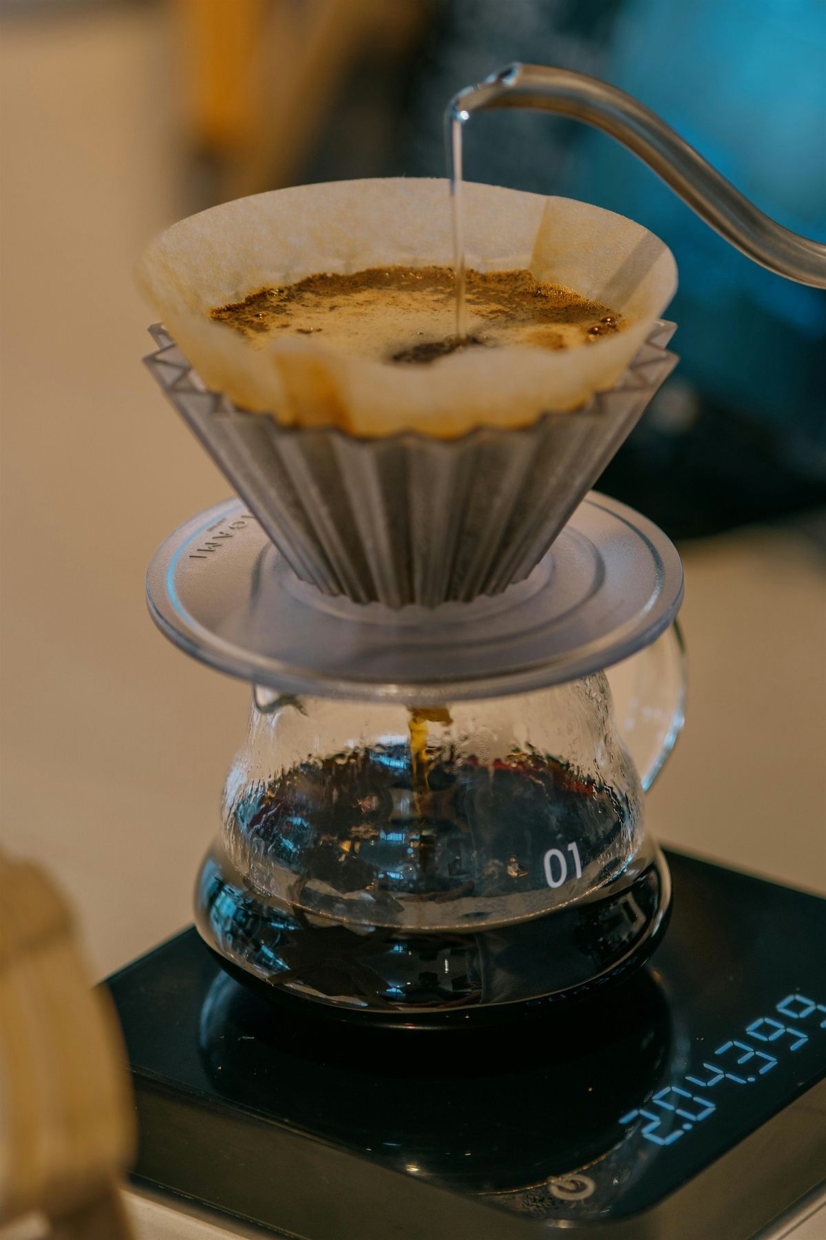 Pourover Coffee Masterclass (In Korean)