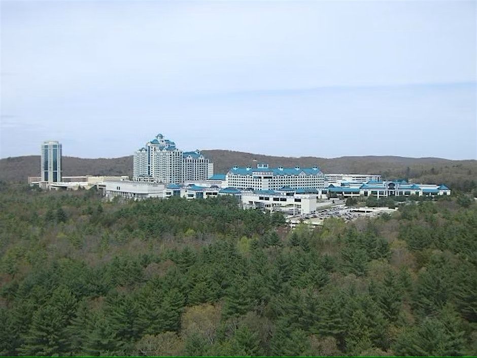 A Date Night Adventure! - Foxwood Heights Foxtrot Frenzy