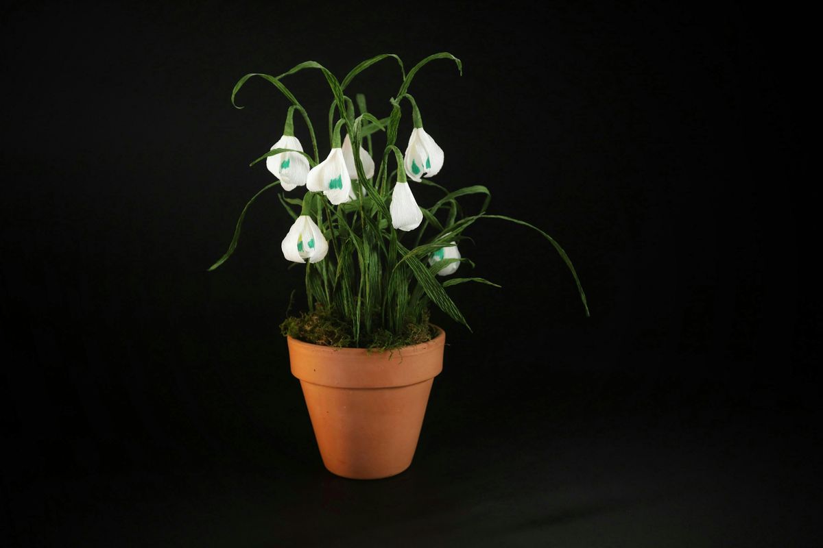 Paper Flowers Workshop - Snowdrop