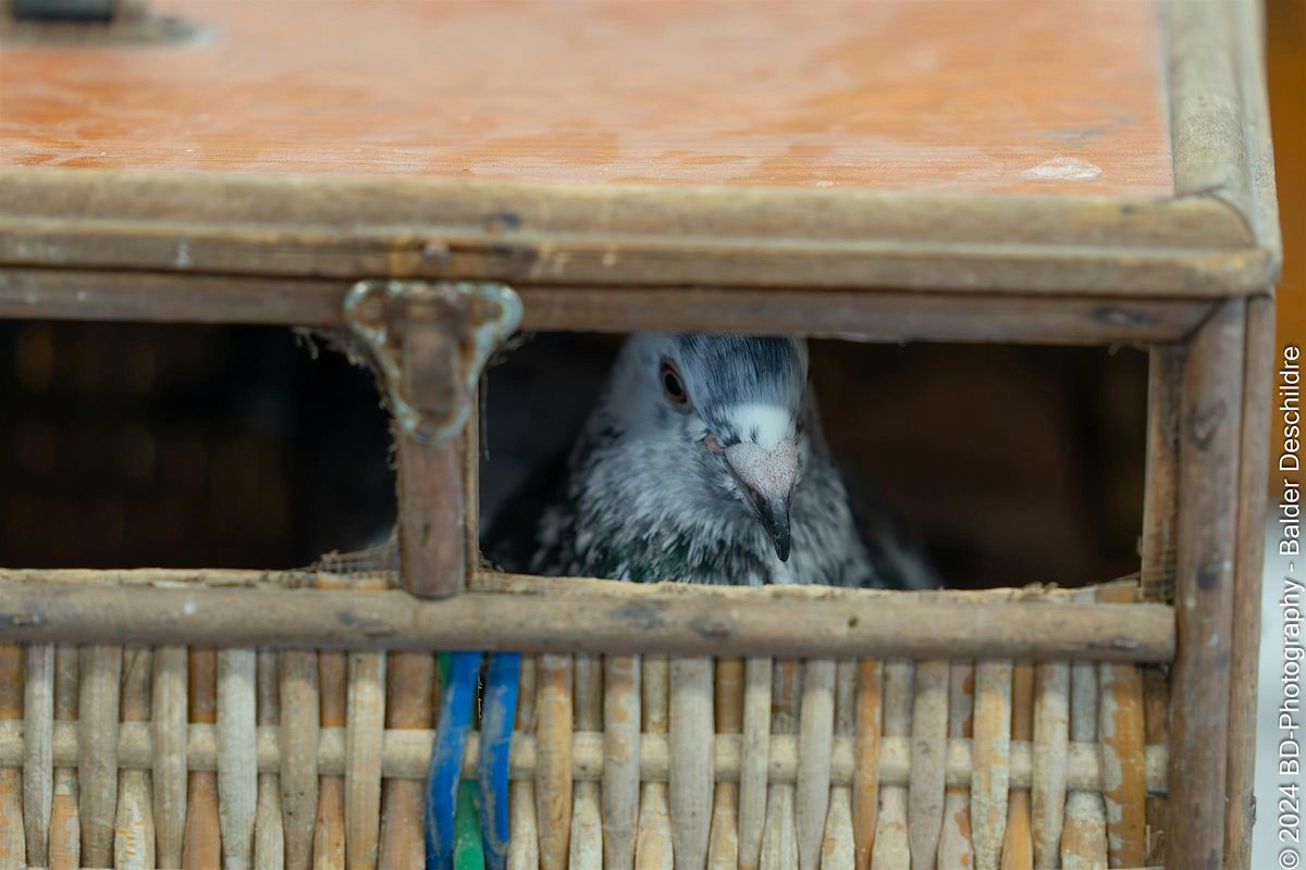 PLACE. Creative Health, Communities and Cultural Heritage